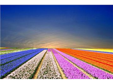 去英國留學學費該如何交呢？