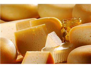 認真的嗎？英國欲以奶酪制燃氣