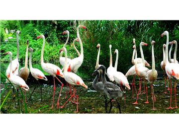 哈利波特中的場景，你知道在英國哪些地方嗎