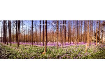 南理工到英國留學，哪些大學比較熱門