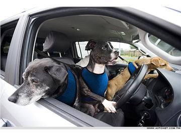 關(guān)于英國開車的一些注意事項