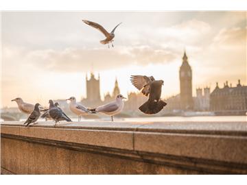 上海優越留學，申請英國G5大學經驗豐富嗎