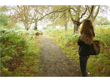 英國那獨特的美，去這些地方感受下吧