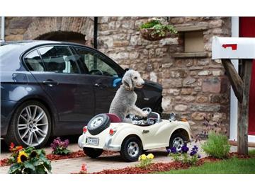 想要和英國人愉快的玩耍，這些必須要知道