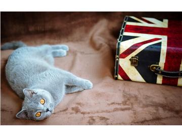 高中生申請英國留學要準備哪些材料，什么時候申請比較恰當？