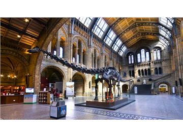 本科英語專業去英國留學可申請哪些專業？優越教育成功案例分享！