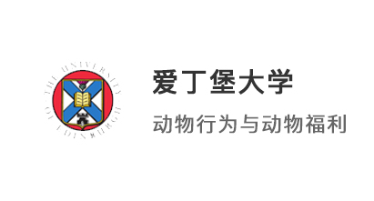 【碩士案例】雙非均分81冷門專業，考研后逆襲愛丁堡大學、KCL！