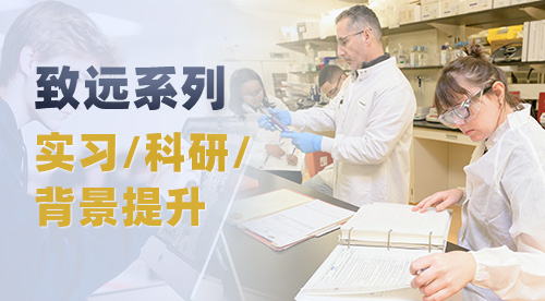 【致遠系列】英國留學軟實力如何加強？2026/2027fall精準定制背景提升！