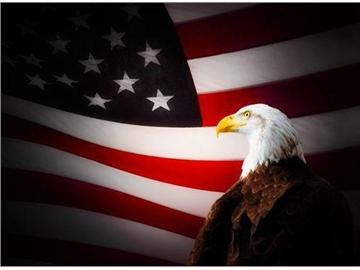 美國本科申請為啥比研究生難？